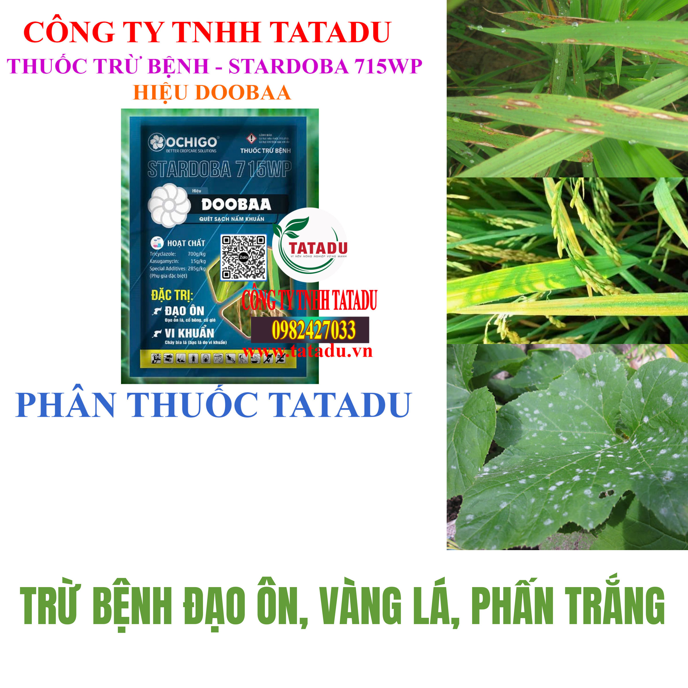 STARDOBA 715WP HIEU DOOBAA TRU BENH DAO ON VANG LA PHAN TRANG STARDOBA 715WP HIEU DOOBAA TRU BENH DAO ON VANG LA PHAN TRANG