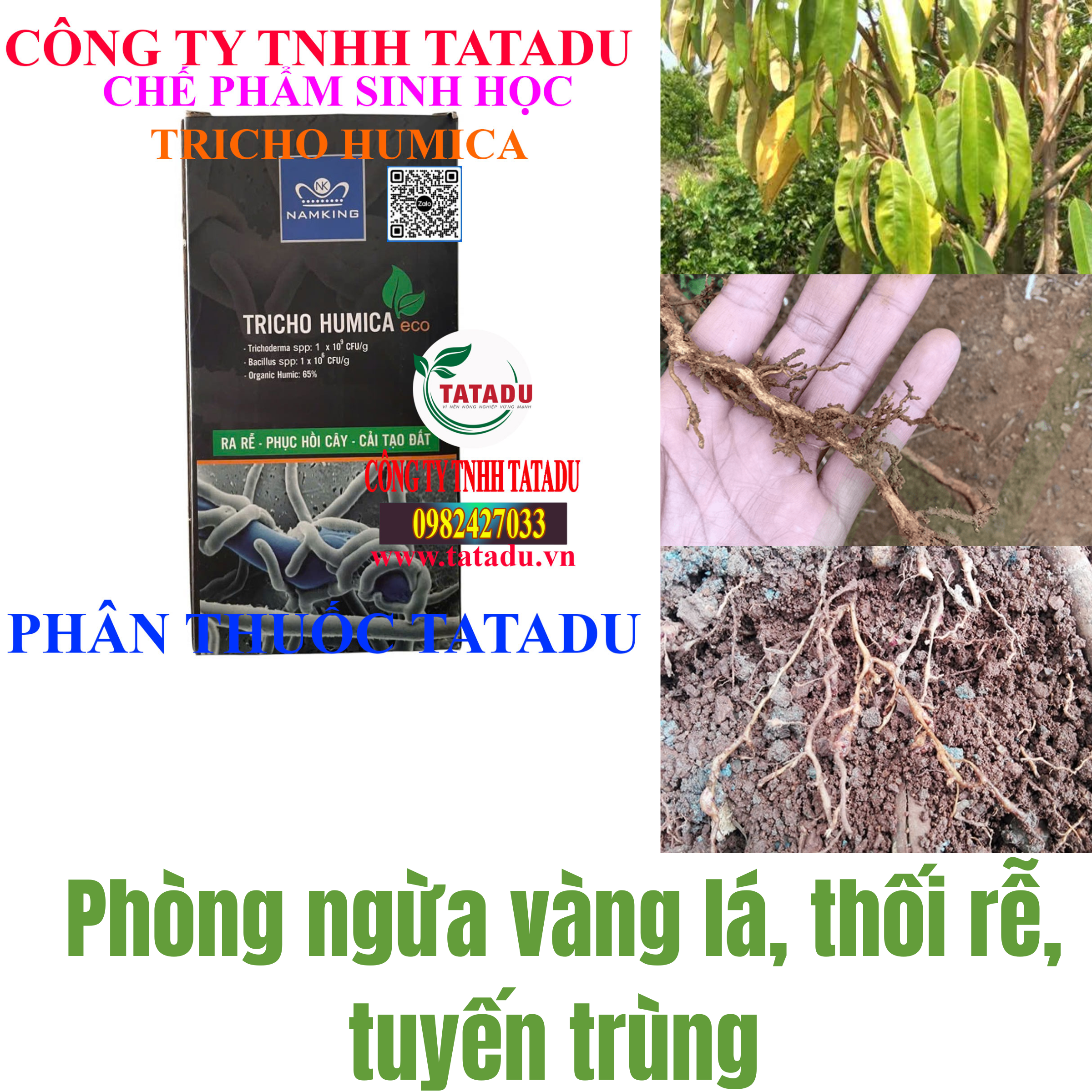 TRICHO HUMICA PHONG BENH VANG LA THOI REM TUYEN TRUNG TRICHO HUMICA PHONG BENH VANG LA THOI REM TUYEN TRUNG