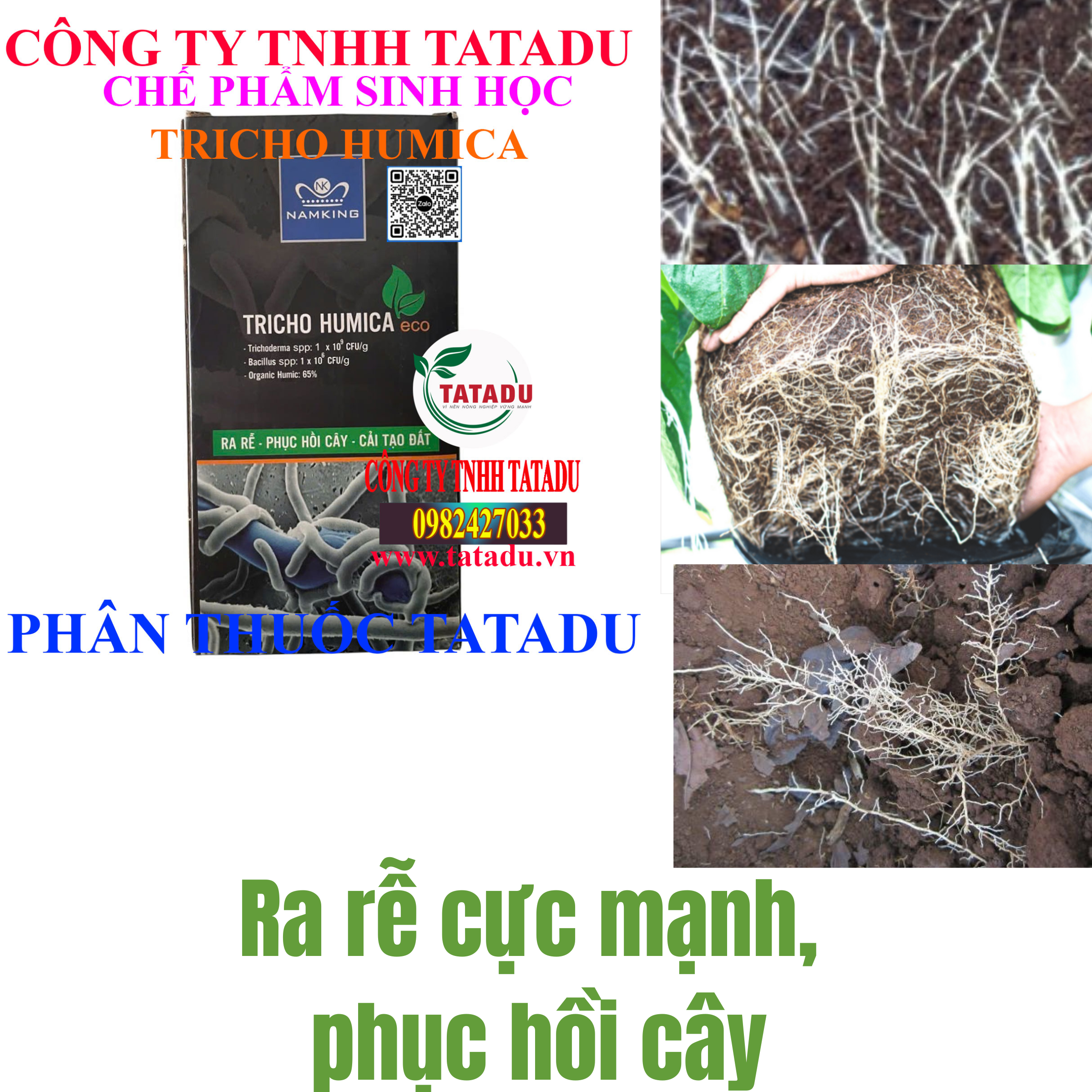 TRICHO HUMICA RA RE CUC MANH PHUC HOI CAY TRICHO HUMICA RA RE CUC MANH PHUC HOI CAY