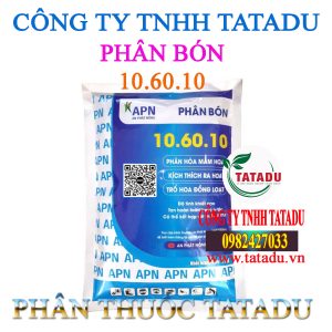 10.60.10 APN