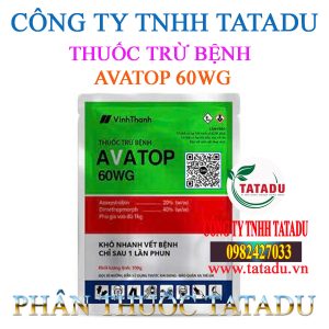 AVATOP 60WG VINH THANH