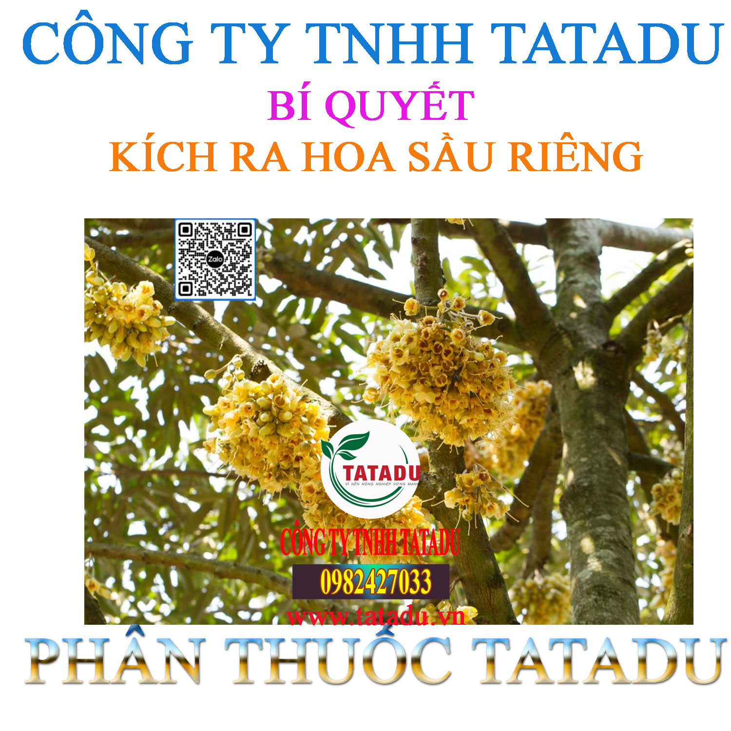 BI QUYET KICH RA HOA SAU RIENG
