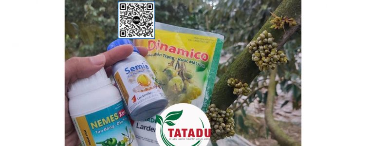 BO BA PHA MIEN TRANG CONG TY THONG THANH PHAT