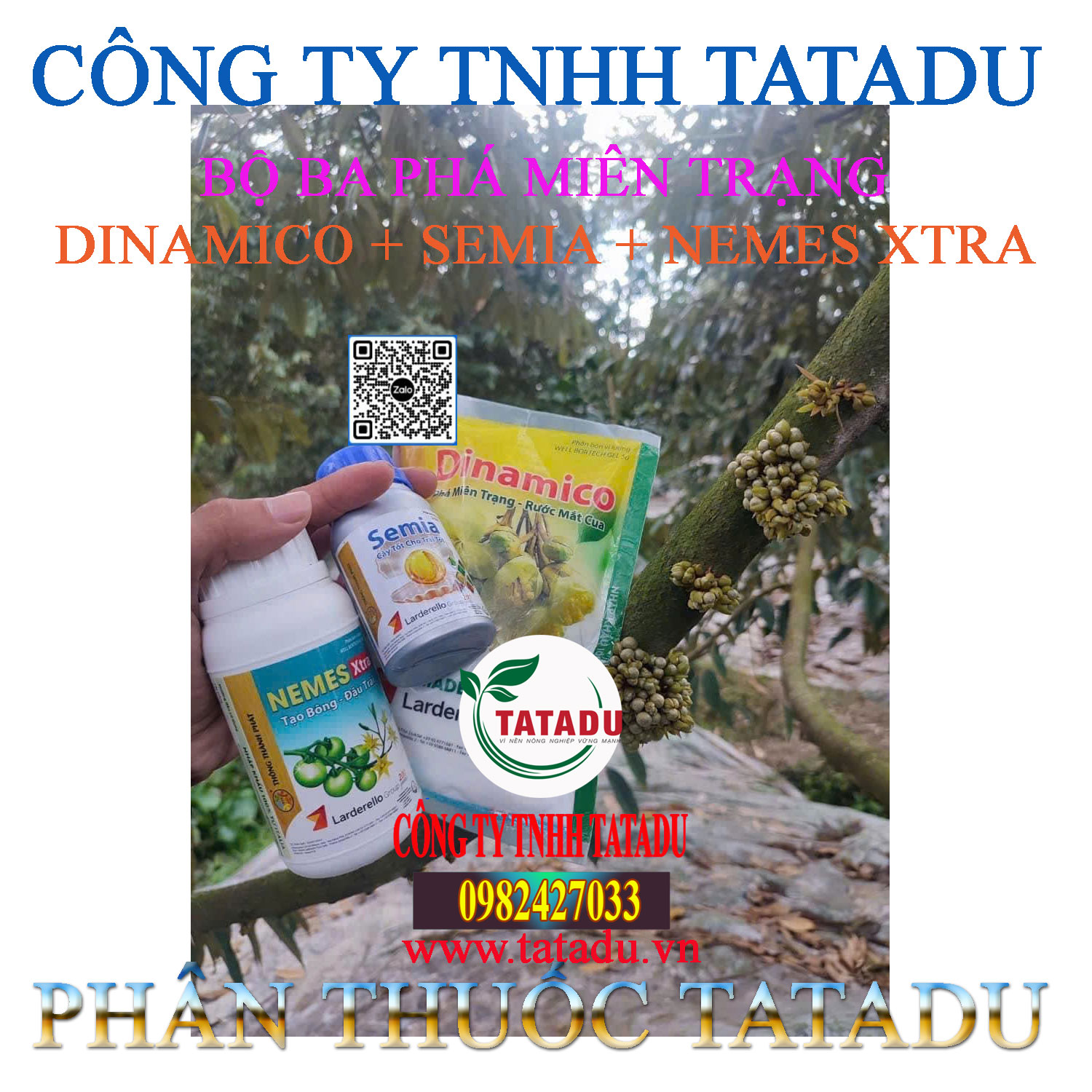BO BA PHA MIEN TRANG CONG TY THONG THANH PHAT BO BA PHA MIEN TRANG CONG TY THONG THANH PHAT