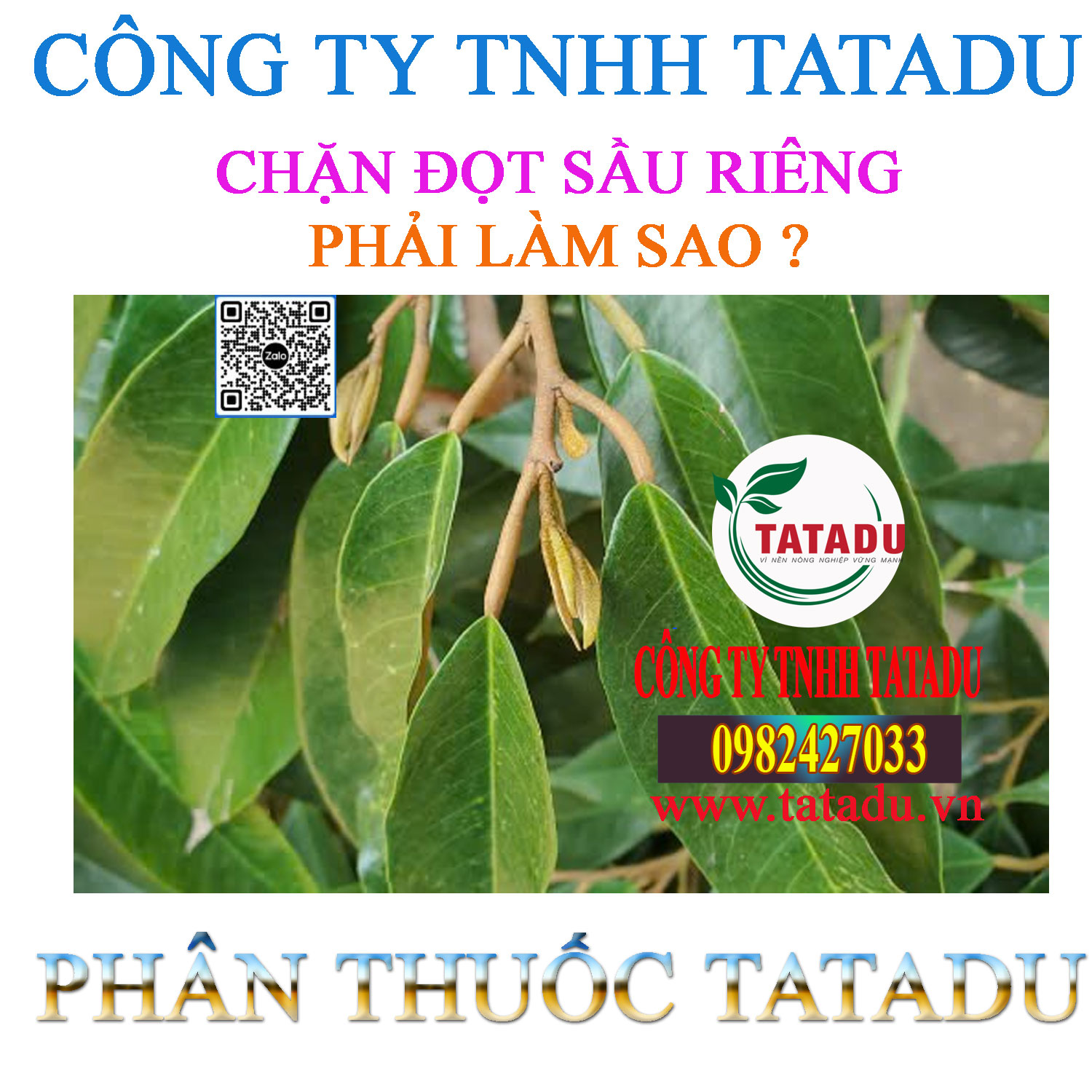 CHAN DOT SAU RIENG PHAI LAM SAO