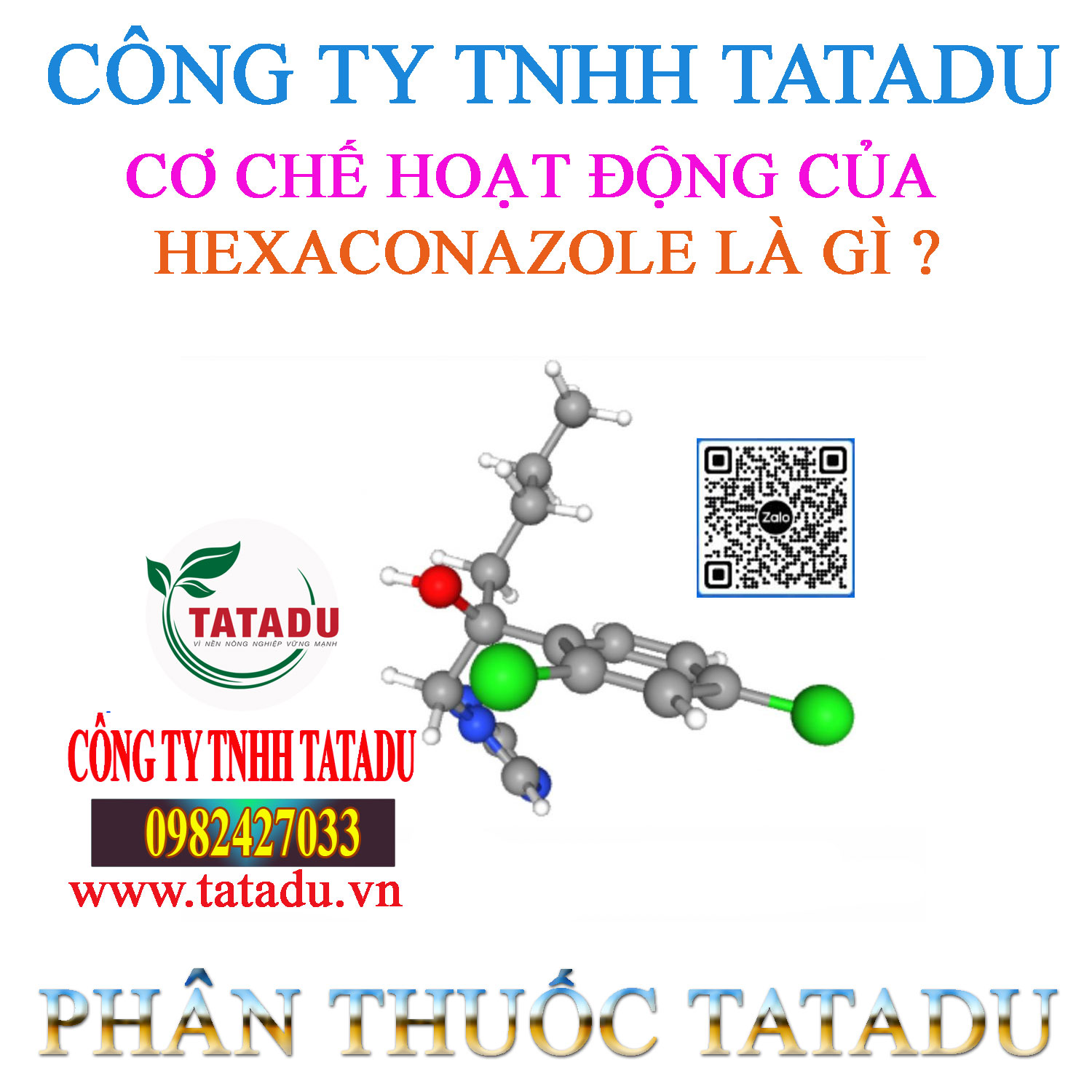 Co che hoat dong cua Hexaconazole