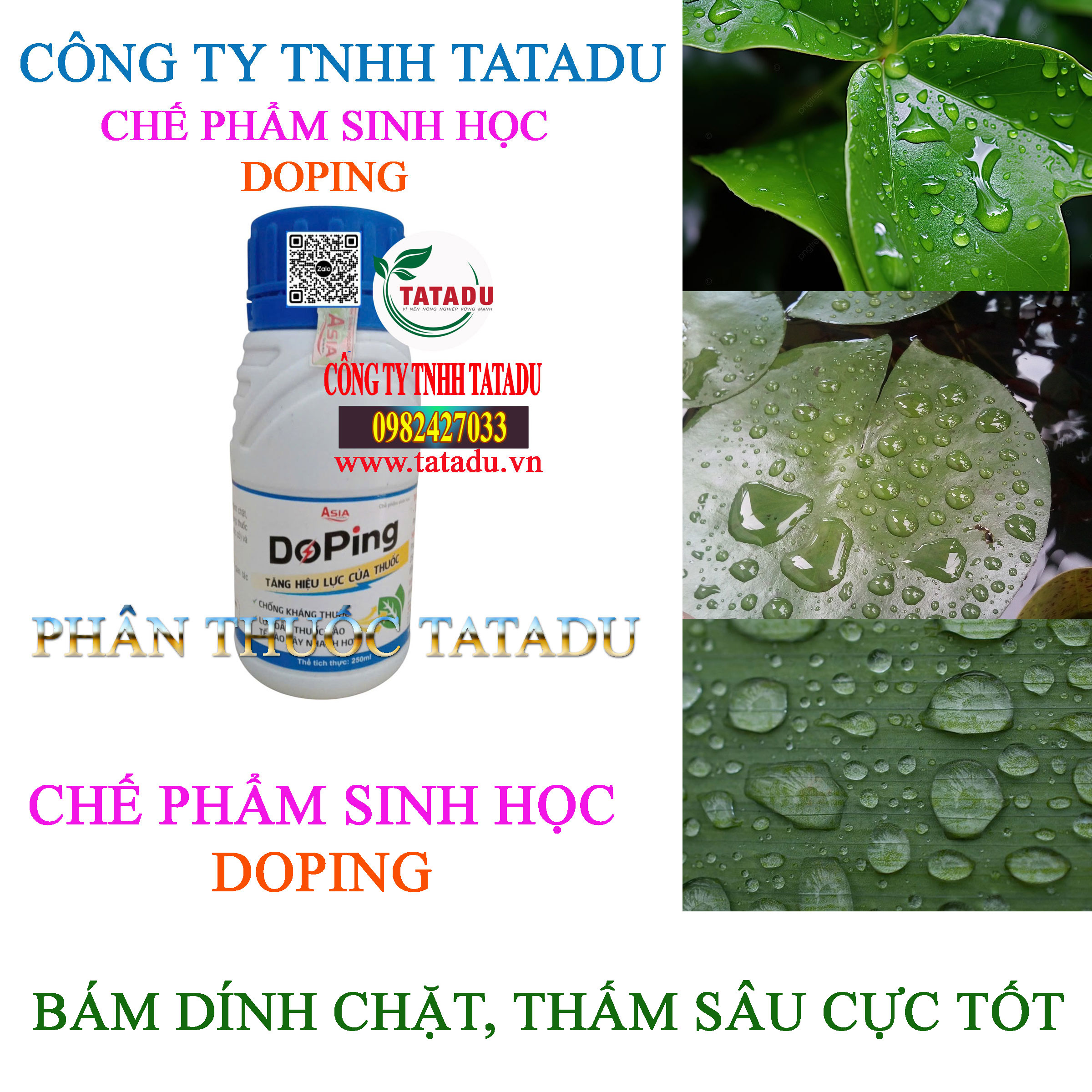 DOPING BAM DINH CHAT THAM SAU CUC TOT DOPING BAM DINH CHAT THAM SAU CUC TOT