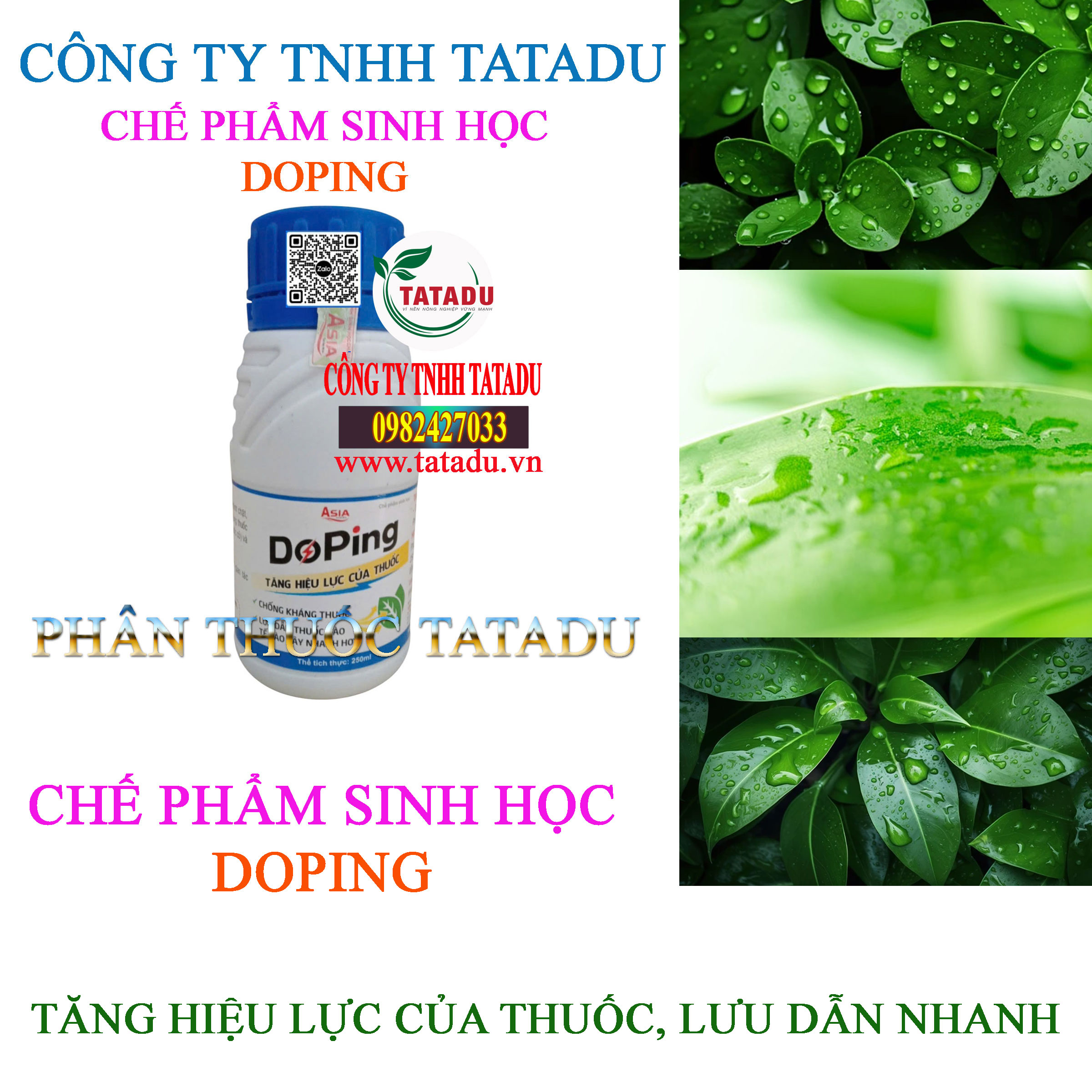DOPING TANG HIEU LUC CUA THUOC LUU DAN NHANH DOPING TANG HIEU LUC CUA THUOC LUU DAN NHANH