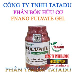 FNANO FULVATE GEL