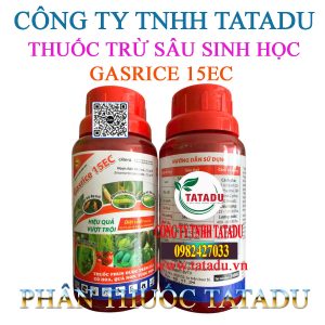 GASRICE 15EC CHAI 240ML