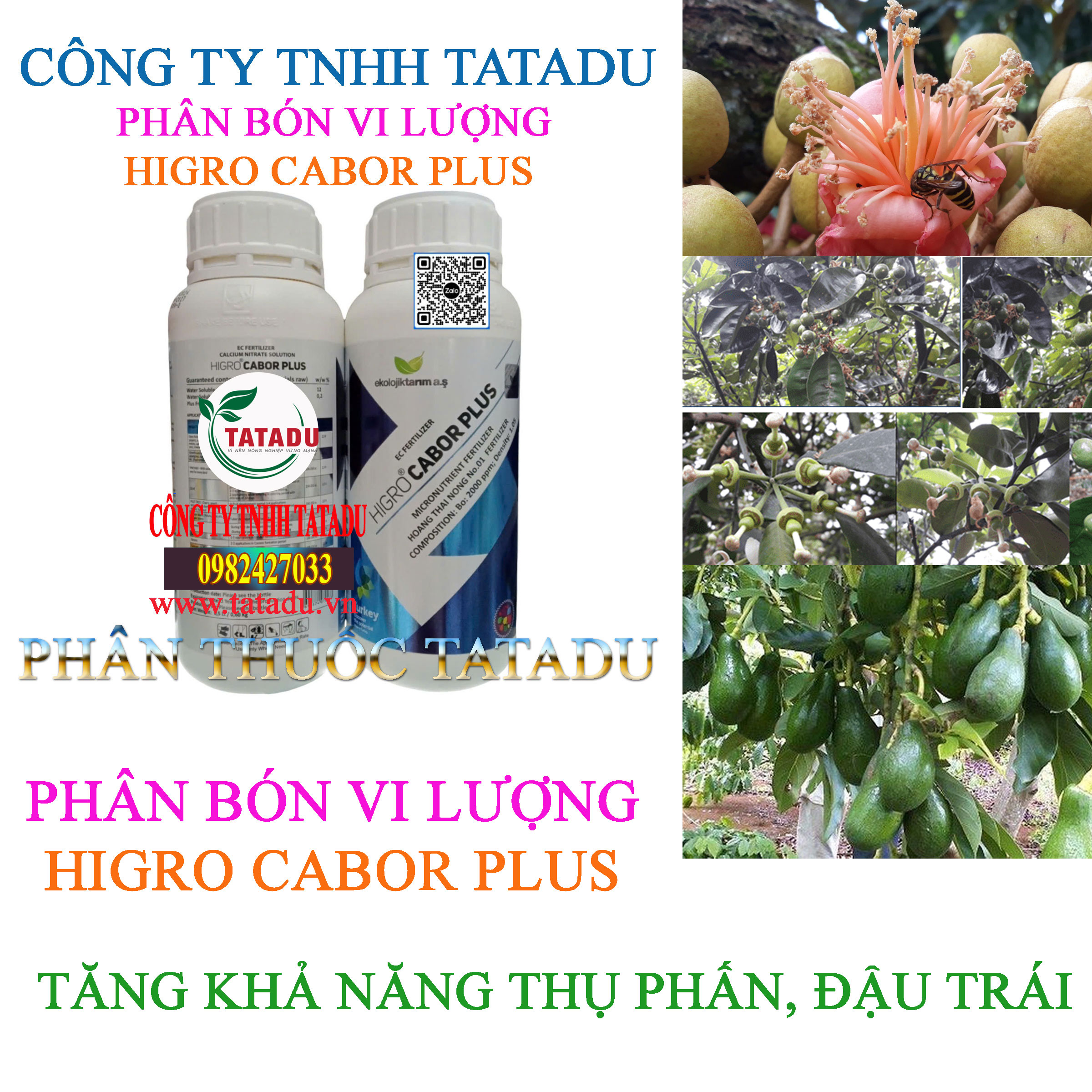 HIGRO CABOR PLUS TANG KHA NANG THU PHAN DAU TRAI HIGRO CABOR PLUS TANG KHA NANG THU PHAN DAU TRAI