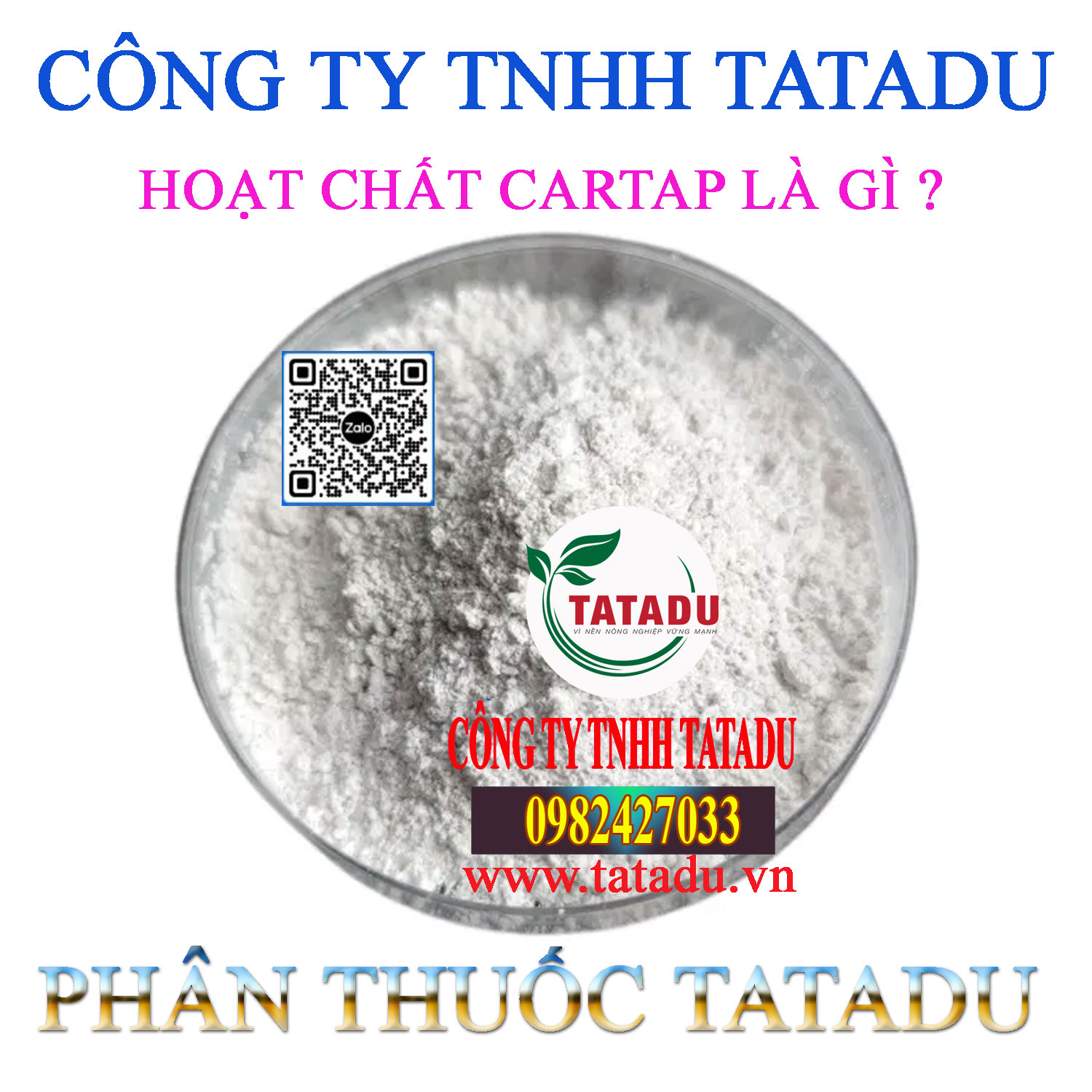 HOAT CHAT CARTAP LA GI