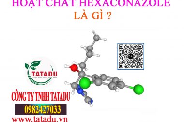 HOẠT CHẤT HEXACONAZOLE LÀ GÌ ? CÓ TRONG LOẠI THUỐC NÀO ?