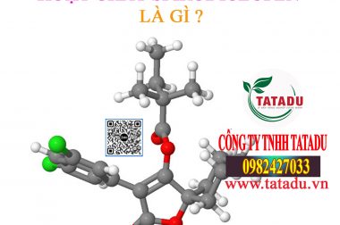 HOẠT CHẤT SPIRODICLOFEN LÀ GÌ ? CÓ TRONG LOẠI THUỐC SÂU NÀO ?