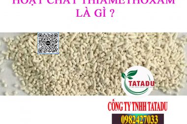 HOẠT CHẤT THIAMETHOXAM LÀ GÌ ? CÓ TRONG THUỐC SÂU NÀO ?