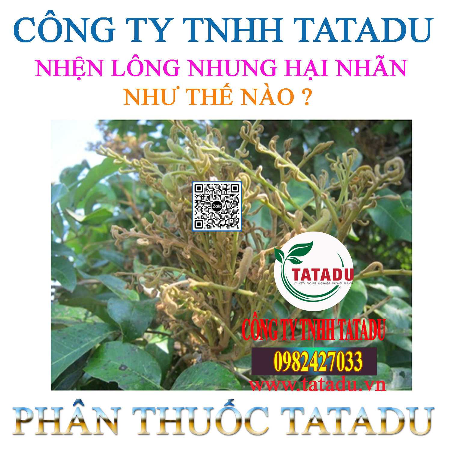 NHEN LONG NHUNG HAI NHAN NHU THE NAO