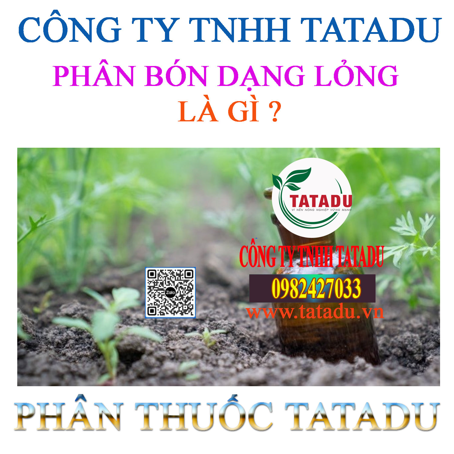 PHAN BON DANG LONG LA GI