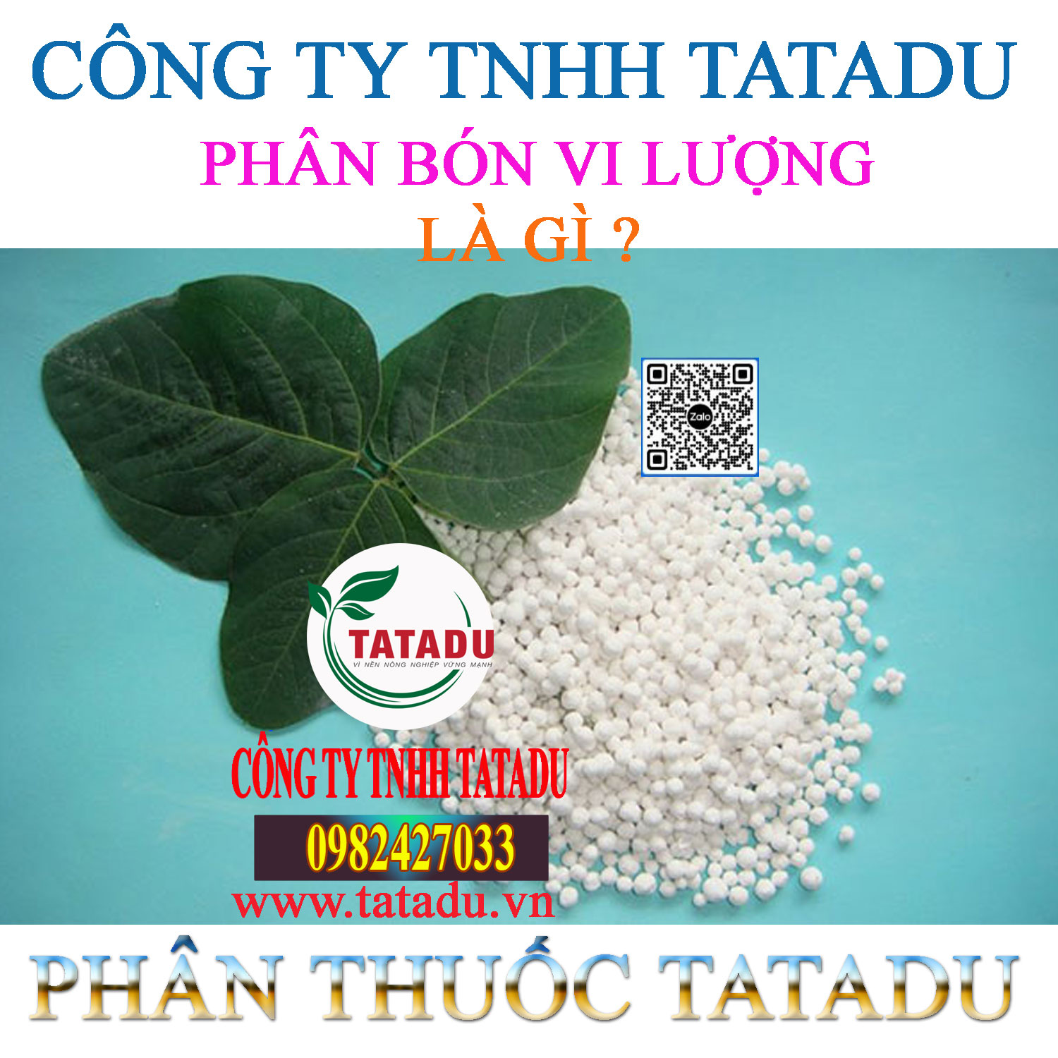 PHAN BON VI LUONG LA GI