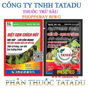 PHOPPAWAY 80WG