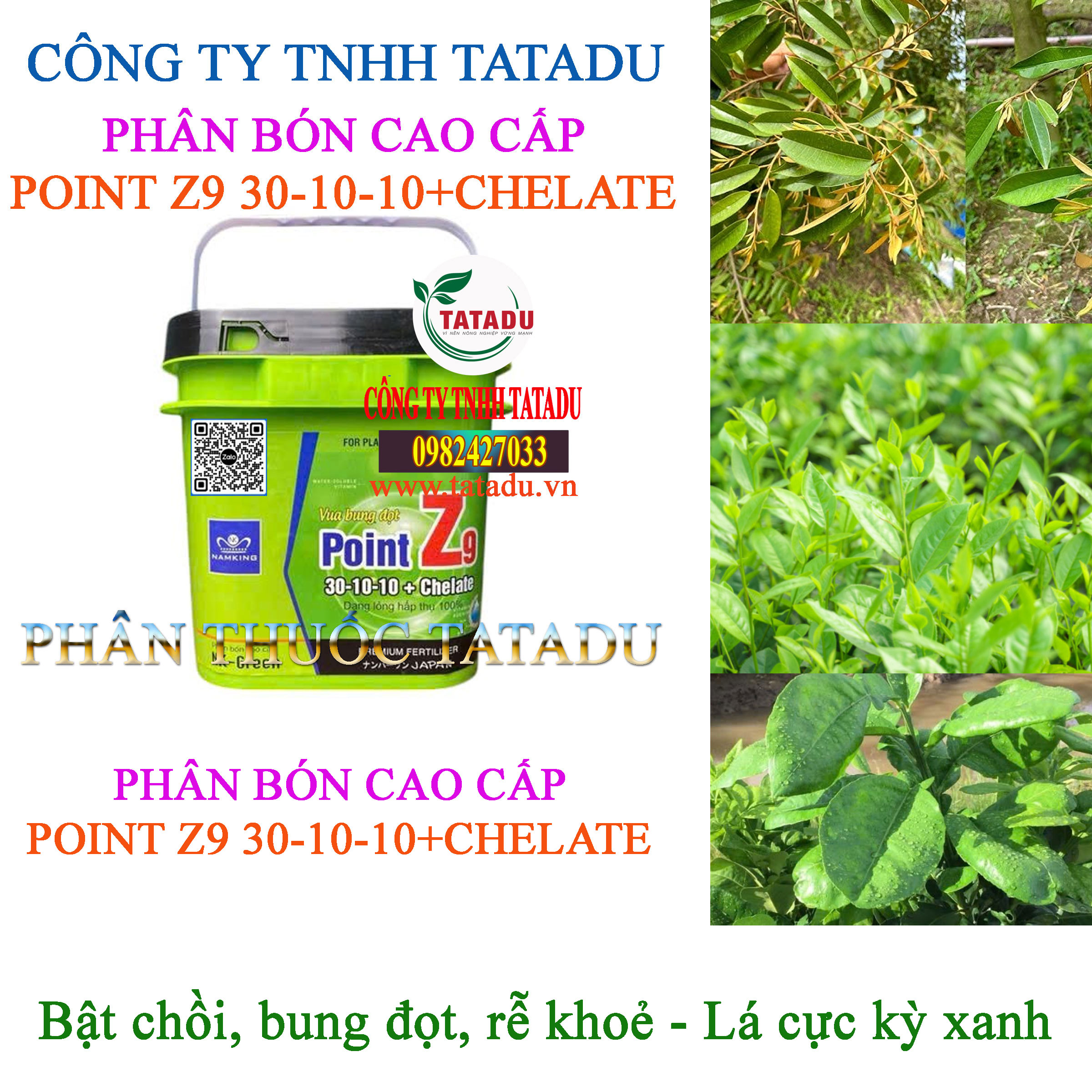 POINT Z9 30 10 10CHELATE BAT CHOI BUNG DOT RE KHOE LA XANH POINT Z9 30 10 10CHELATE BAT CHOI BUNG DOT RE KHOE LA XANH