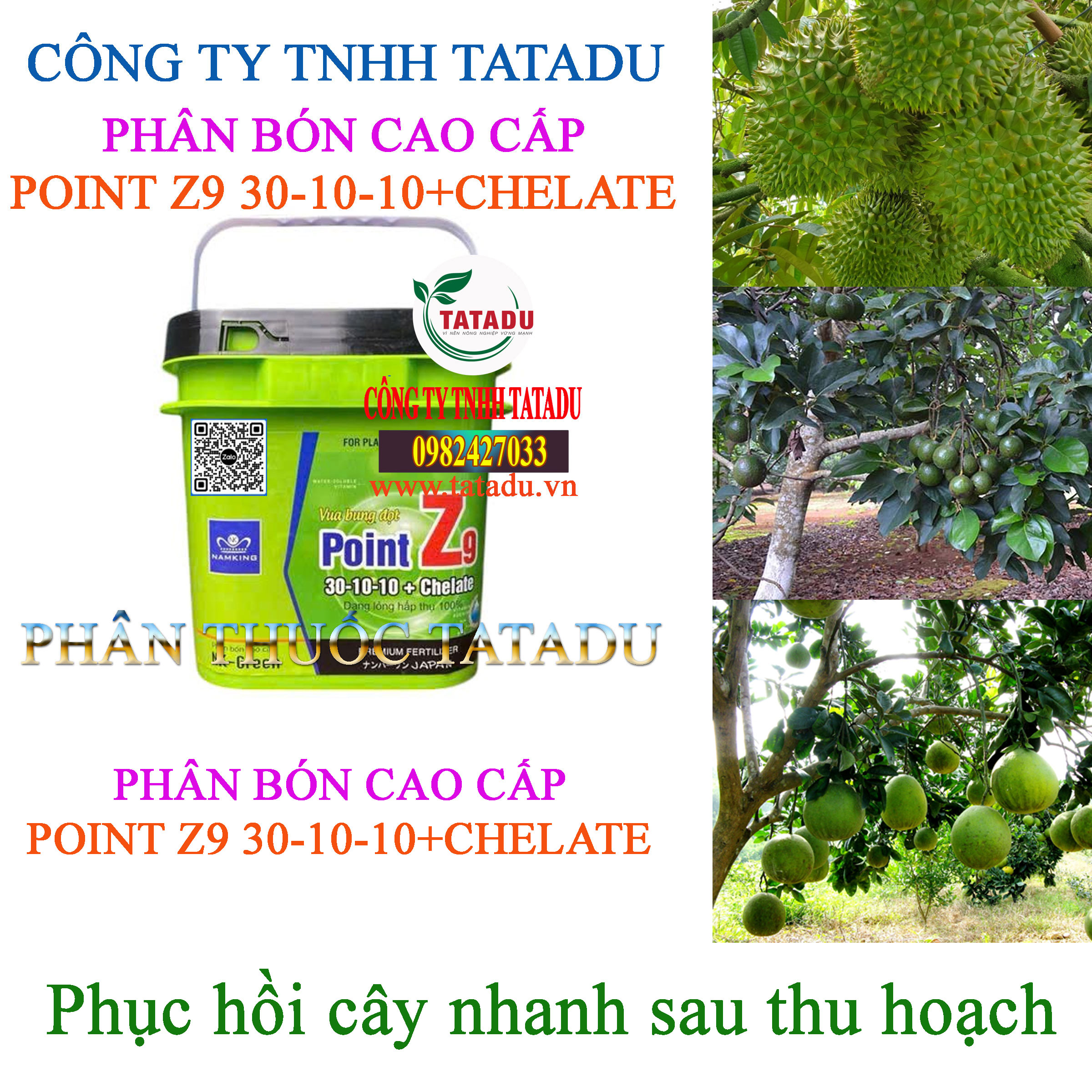 POINT Z9 30 10 10CHELATE PHUC HOI CAY NHANH SAU THU HOACH POINT Z9 30 10 10CHELATE PHUC HOI CAY NHANH SAU THU HOACH