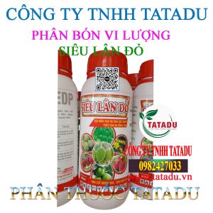 SIEU LAN DO HOANG HAI