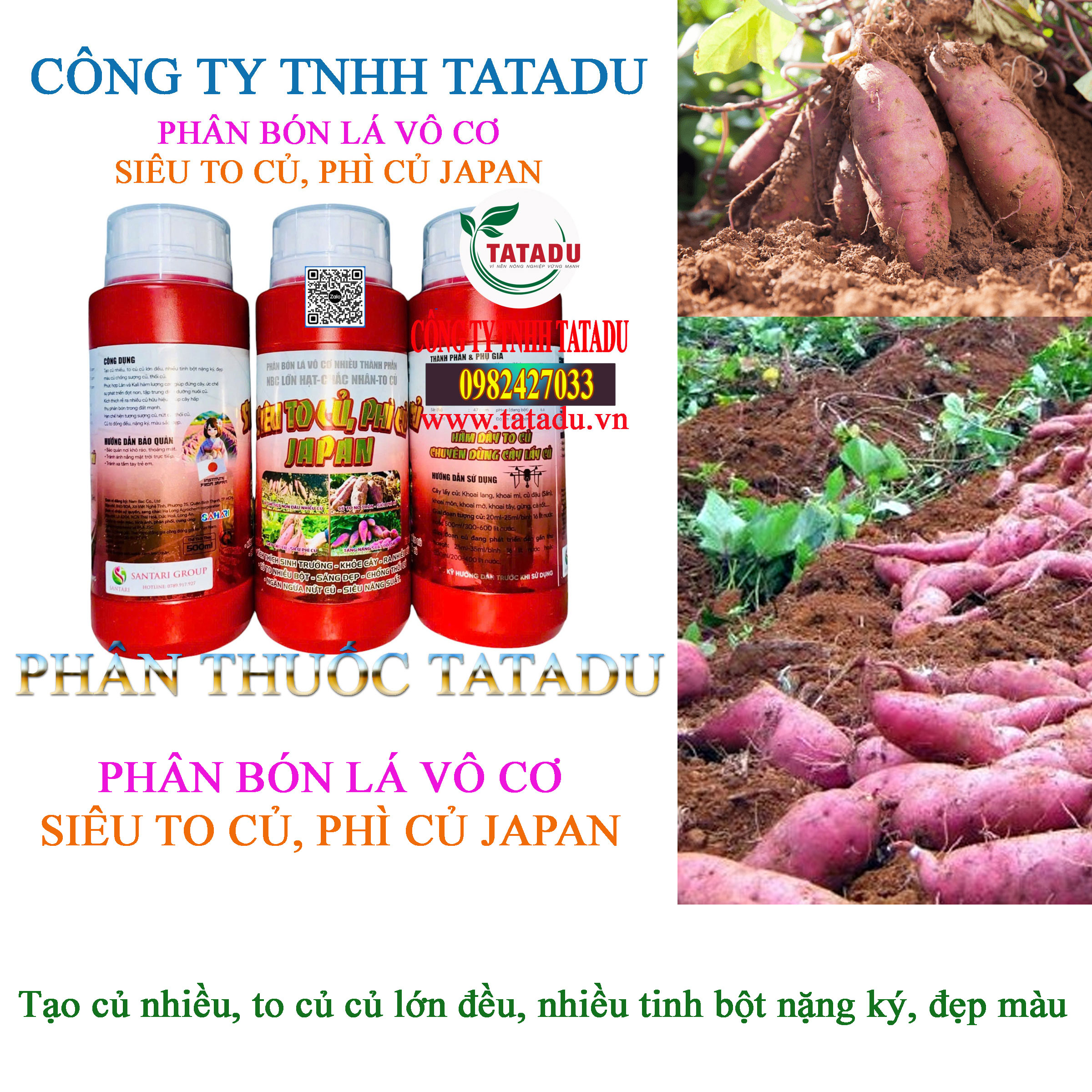 SIEU TO CU PHI CU JAPAN TAO CU NHIEU SIEU TO CU PHI CU JAPAN TAO CU NHIEU