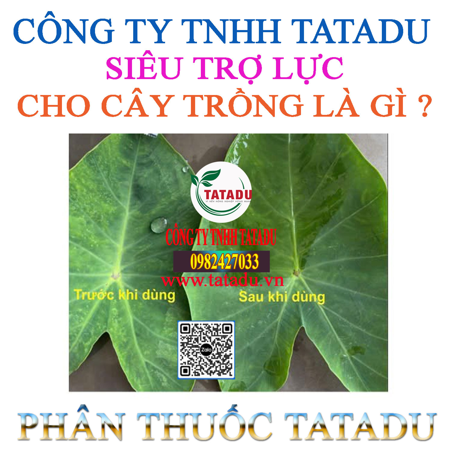 SIÊU TRỢ LỰC CHO CÂY TRỒNG LÀ GÌ SIÊU TRỢ LỰC CHO CÂY TRỒNG LÀ GÌ