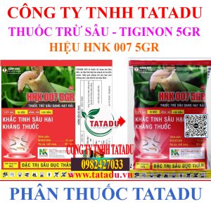 TIGINON 5GR HIEU HNK 007 5GR