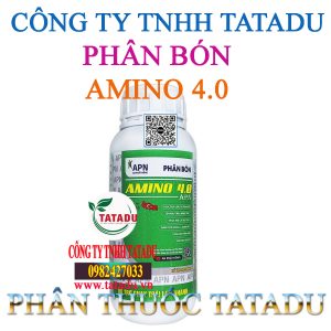 AMINO 4.0 APN