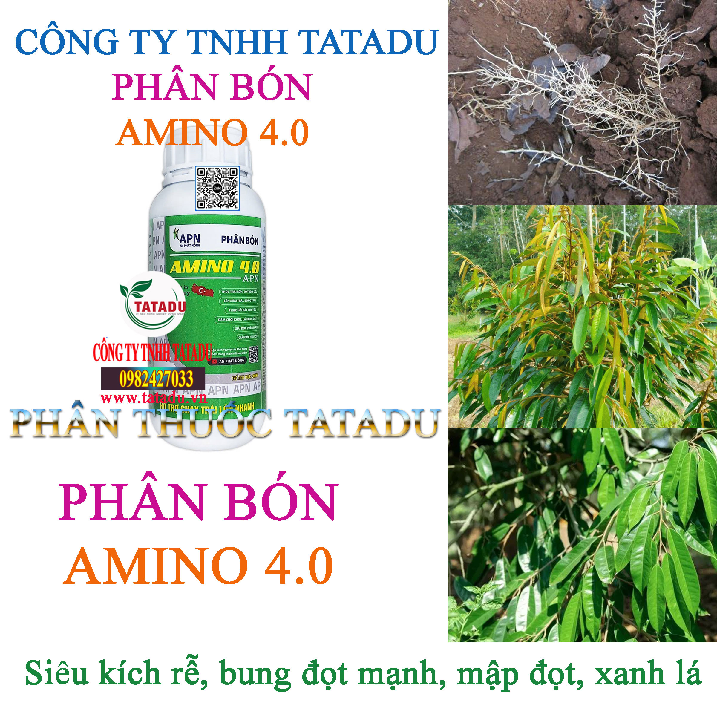 AMINO 4.0 SIEU KICH RE BUNG DOT MANH MAP DOT XANH LA AMINO 4.0 SIEU KICH RE BUNG DOT MANH MAP DOT XANH LA