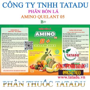 AMINO QUELANT 05 UNI GREEN