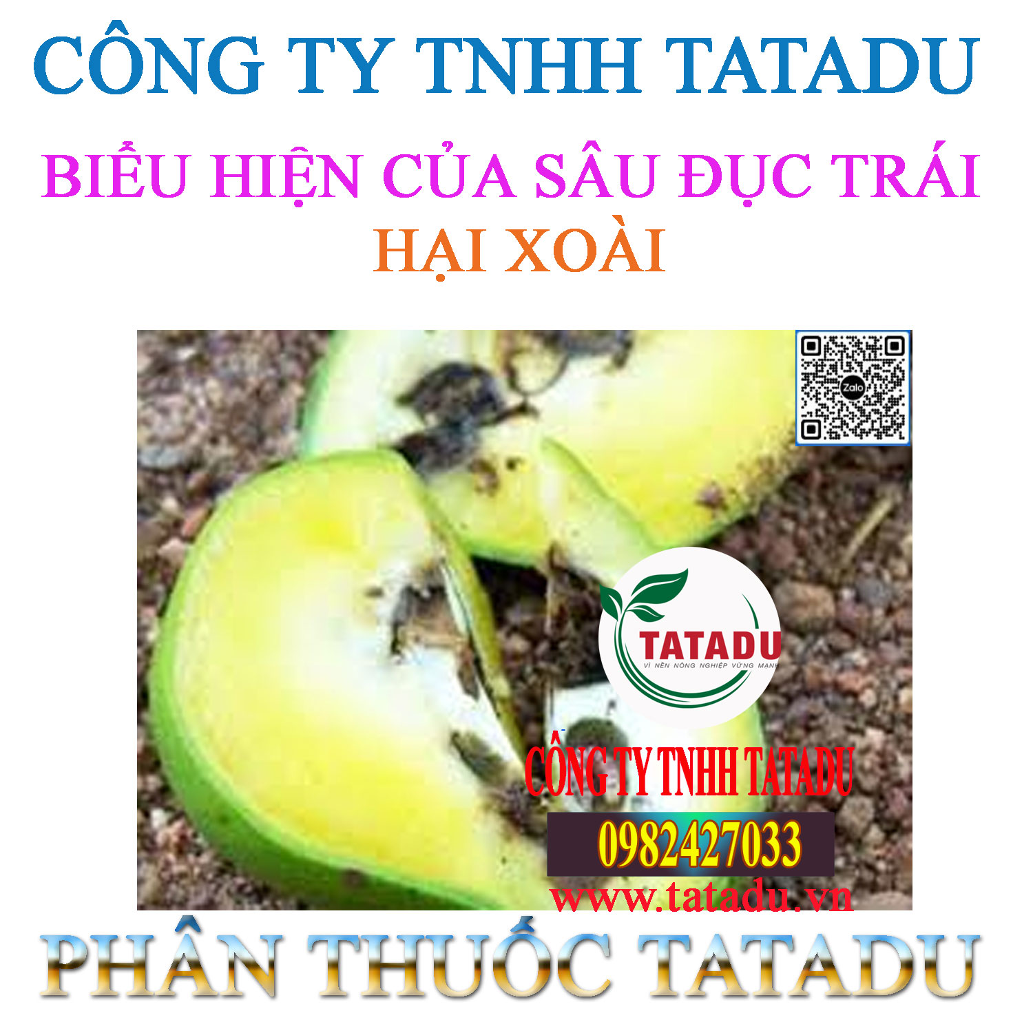 BIEU HIEN CUA SAU DUC TRAI HAI XOAI