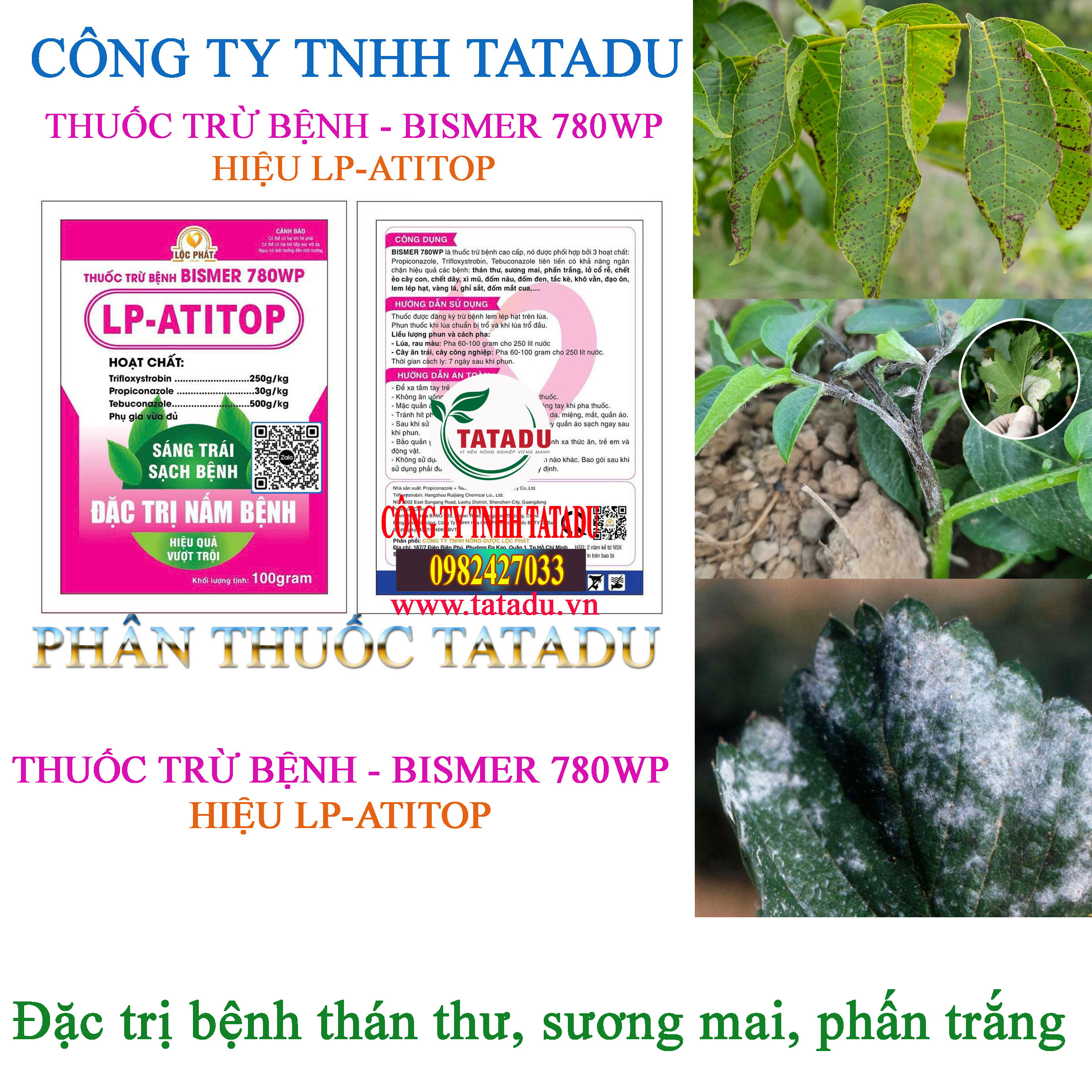 BISMER 780WP DAC TRI BENH THAN THU SUONG MAI PHAN TRANG BISMER 780WP DAC TRI BENH THAN THU SUONG MAI PHAN TRANG