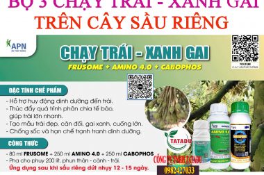 BỘ 3 SẢN PHẨM CHẠY TRÁI, XANH GAI AN PHÁT NÔNG