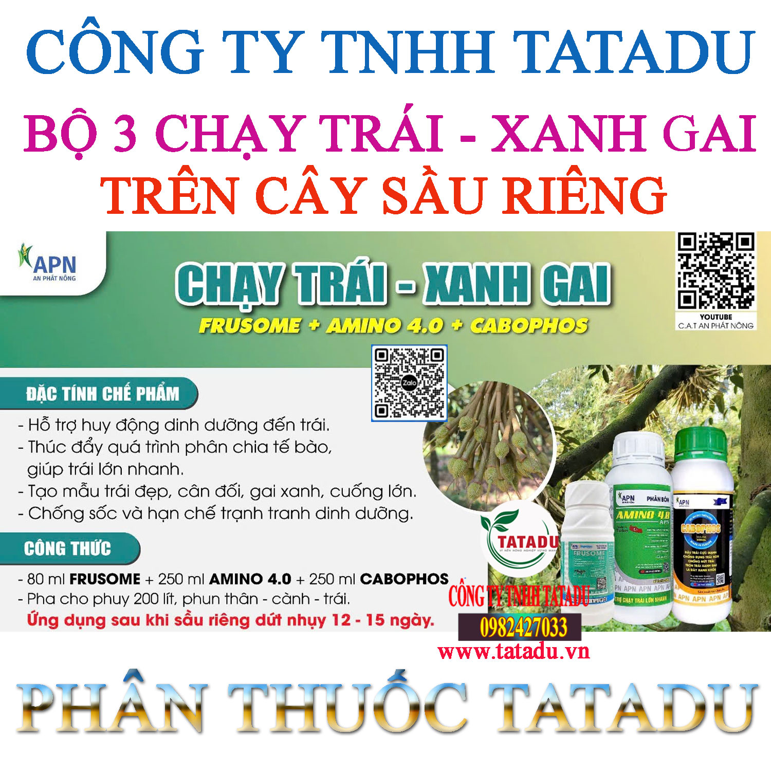 BO 3 CHAY TRAI XANH GAI TREN CAY SAU RIENG BO 3 CHAY TRAI XANH GAI TREN CAY SAU RIENG
