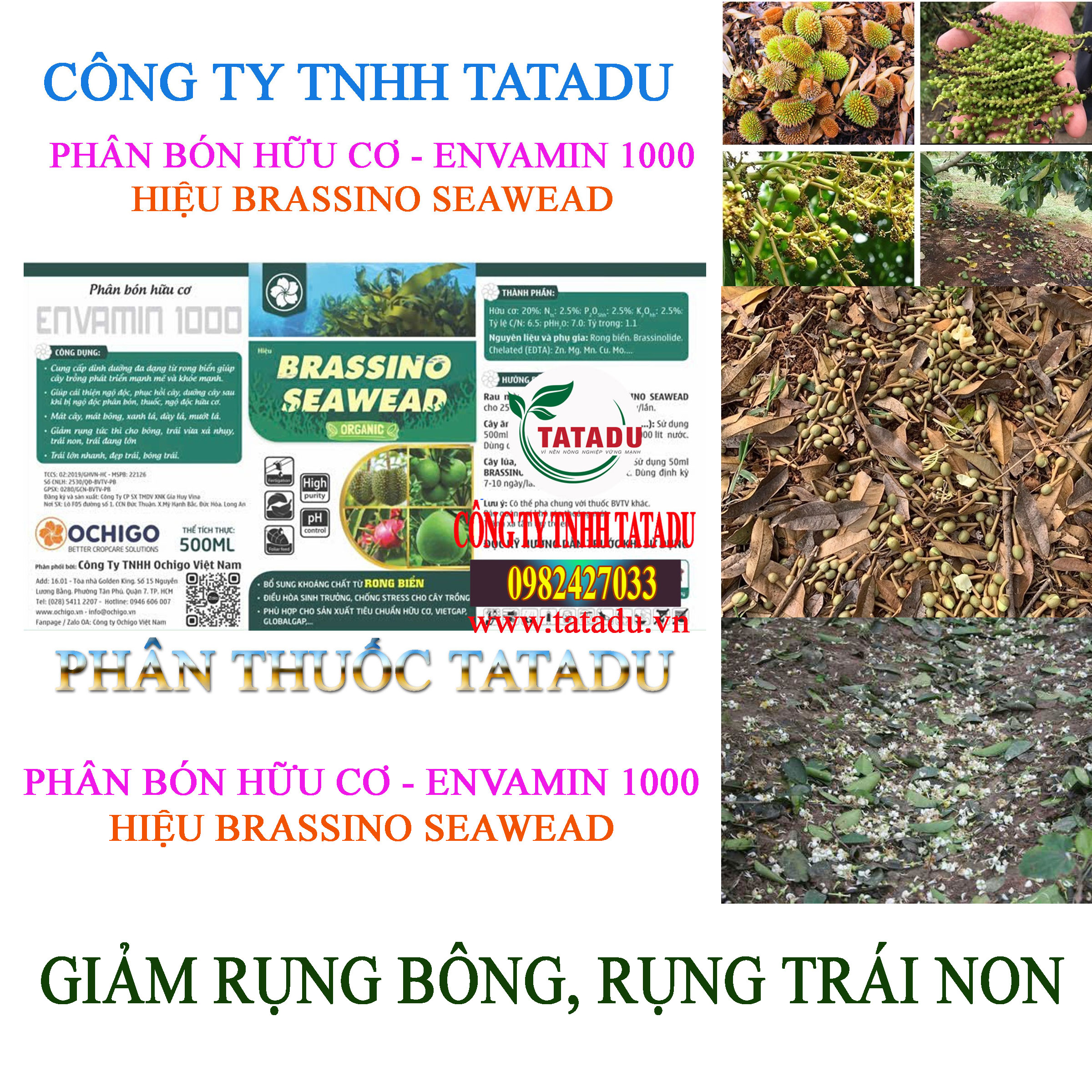 BRASSINO SEAWEAD GIAM RUNG BONG RUNG TRAI NON BRASSINO SEAWEAD GIAM RUNG BONG RUNG TRAI NON