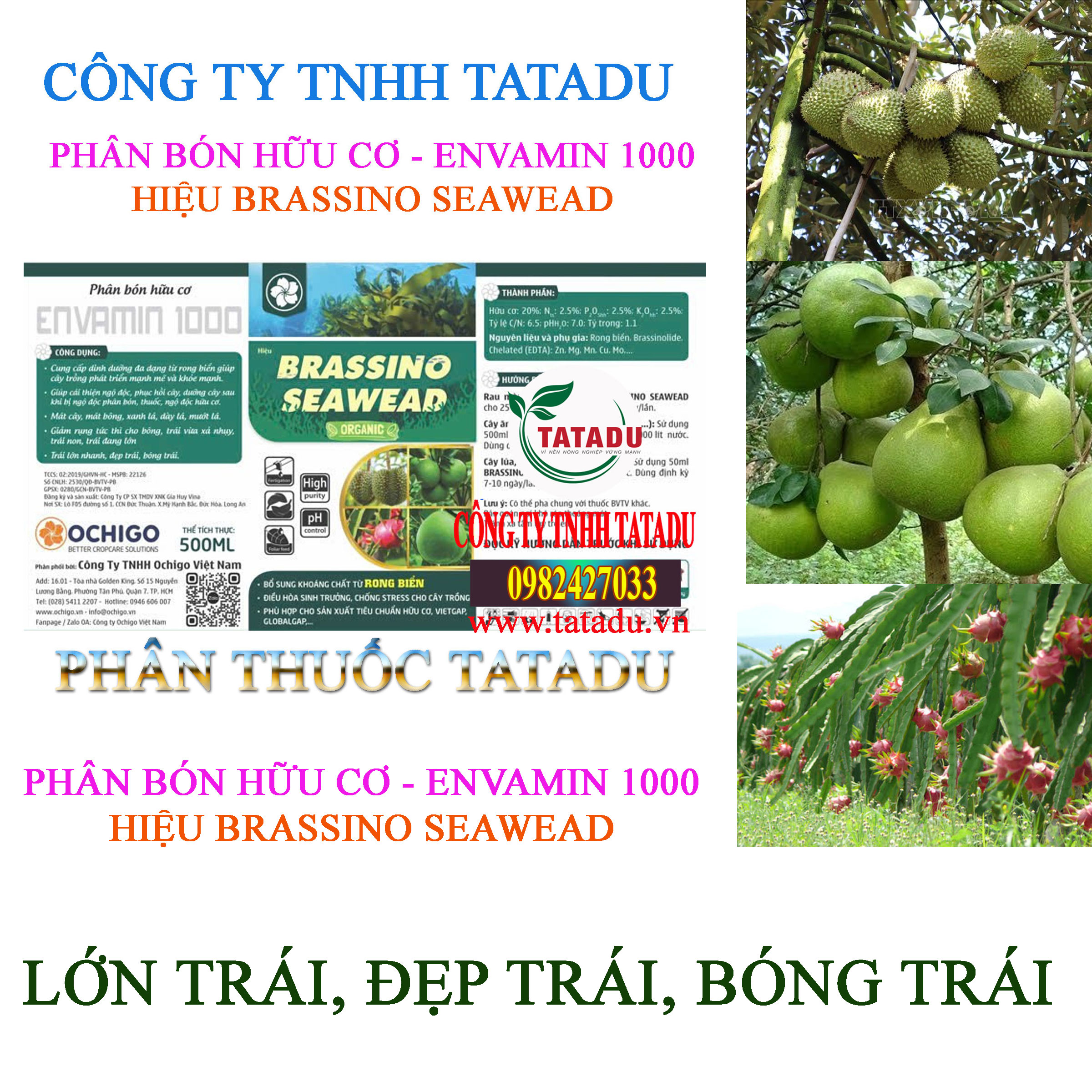 BRASSINO SEAWEAD LON TRAI DEP TRAI BONG TRAI BRASSINO SEAWEAD LON TRAI DEP TRAI BONG TRAI