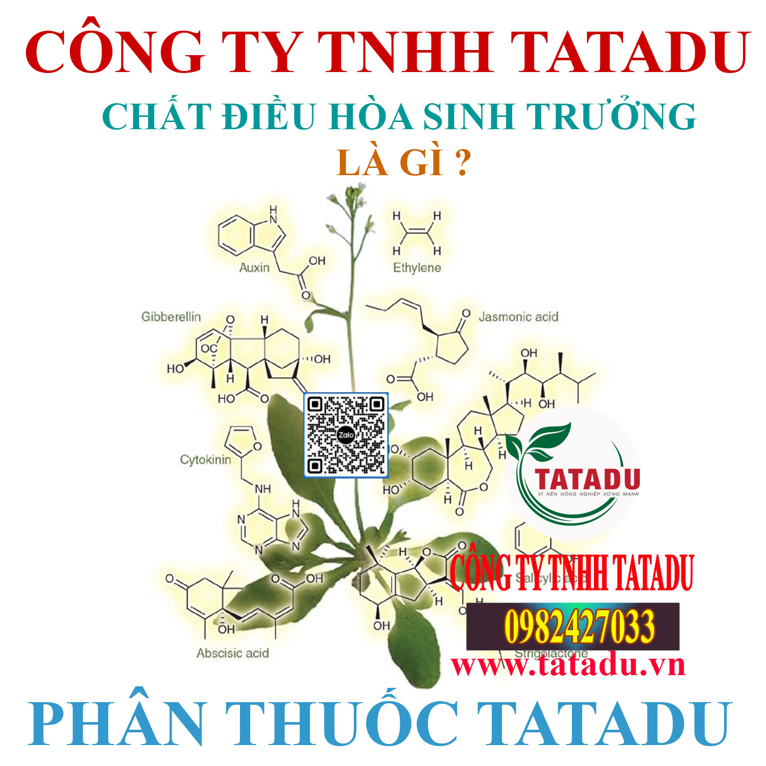CHAT DIEU HOA SINH TRUONG LA GI