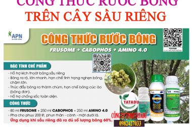 CÔNG THỨC RƯỚC BÔNG AN PHÁT NÔNG