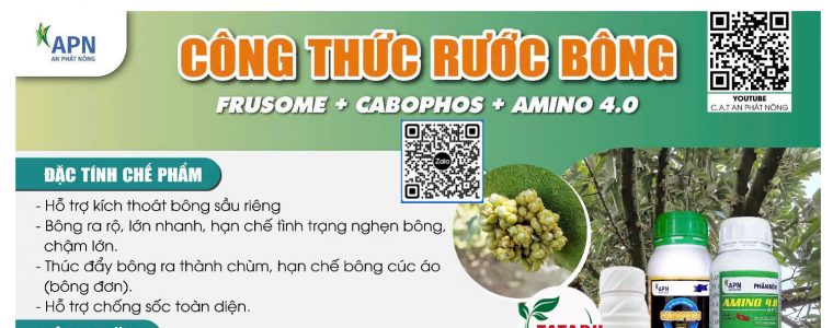 CONG THUC RUOC BONG TREN CAY SAU RIENG