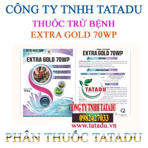 EXTRA GOLD 70WP