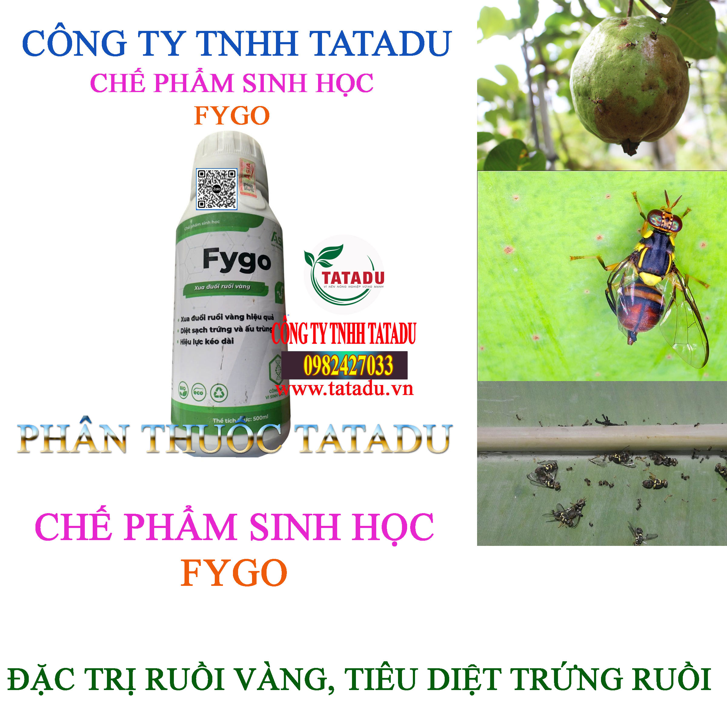 FYGO ASIA DAC TRI RUOI VANG TIEU DIET TRUNG RUOI FYGO ASIA DAC TRI RUOI VANG TIEU DIET TRUNG RUOI