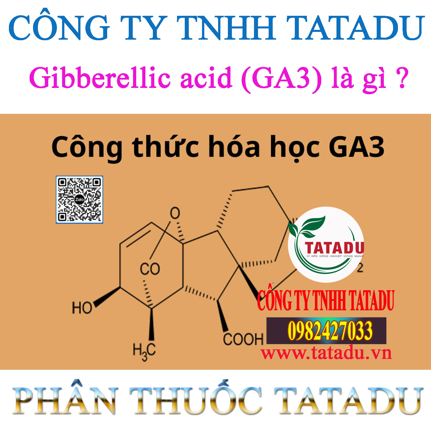 Gibberellic acid GA3 la gi