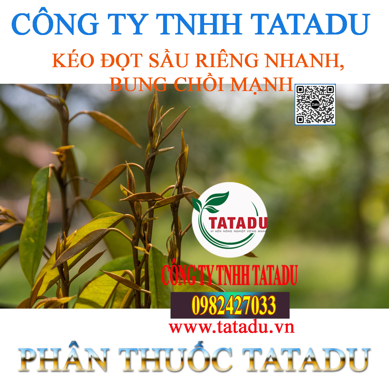 KEO DOT SAU RIENG NHANH BUNG CHOI MANH