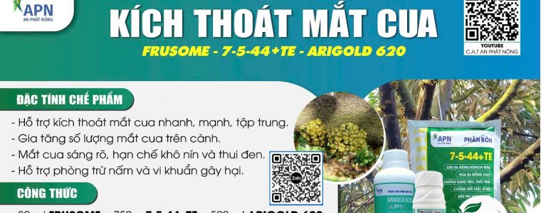 KICH THOAT MAT CUA TREN CAY SAU RIENG