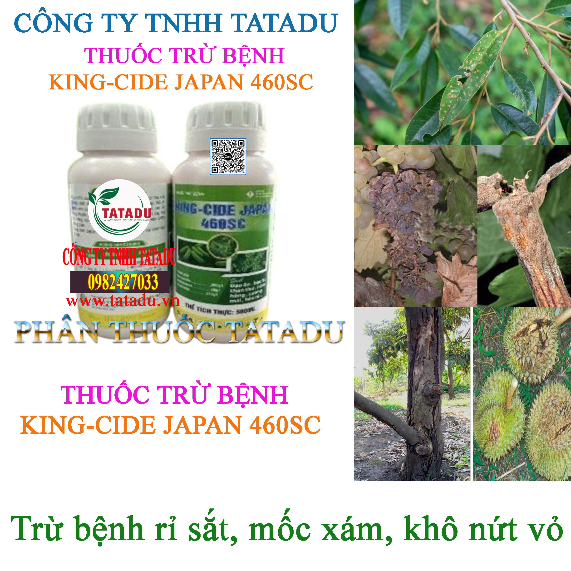 KING CIDE JAPAN 460SC ABU TRU BENH RI SAT MOC XAM KHO NUT VO KING CIDE JAPAN 460SC ABU TRU BENH RI SAT MOC XAM KHO NUT VO