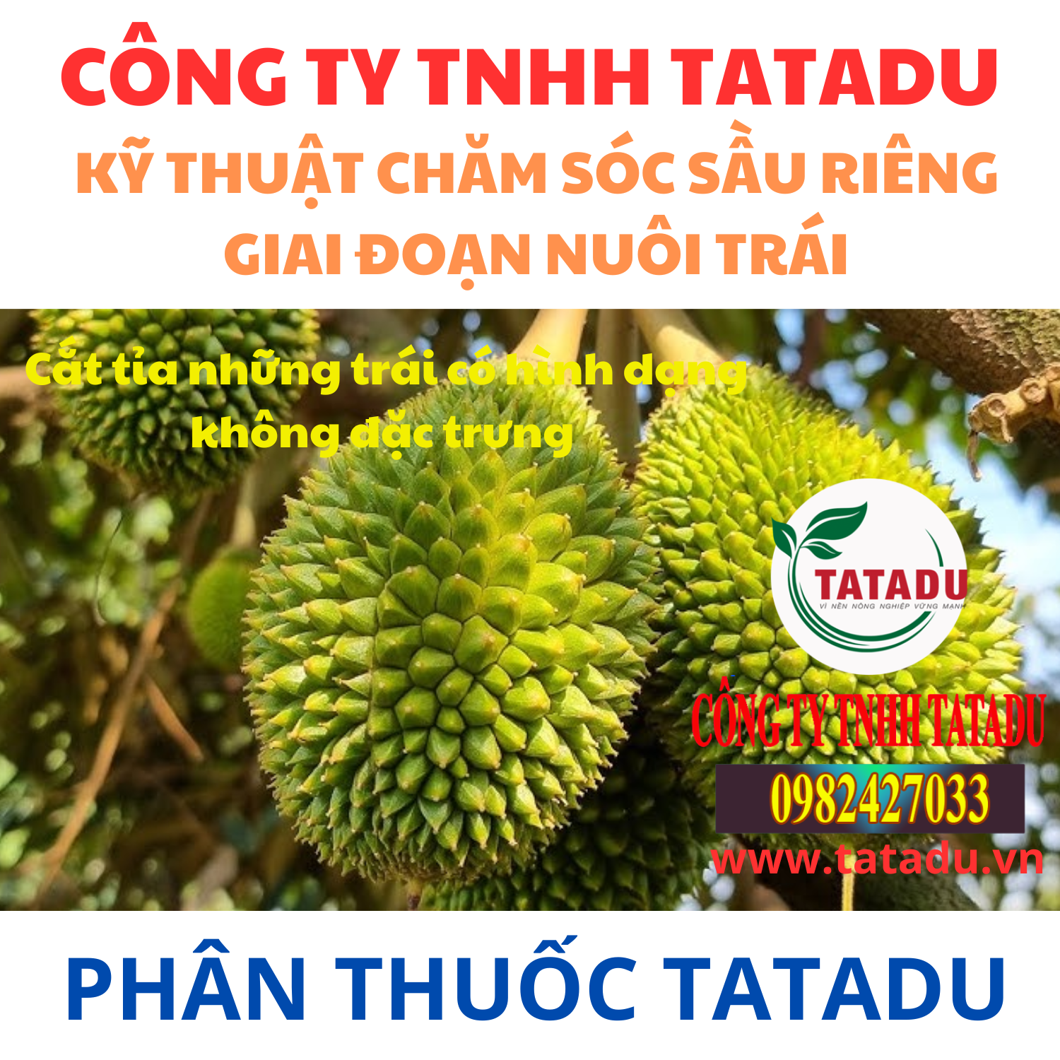 KY THUAT CHAM SOC SAU RIENG GIAI DOAN NUOI TRAI 3