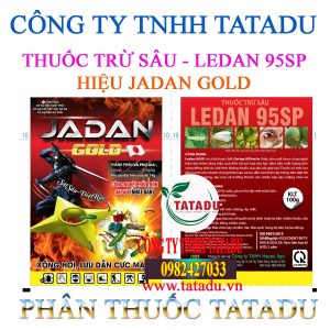 LEDAN 95SP HIEU JADAN GOLD