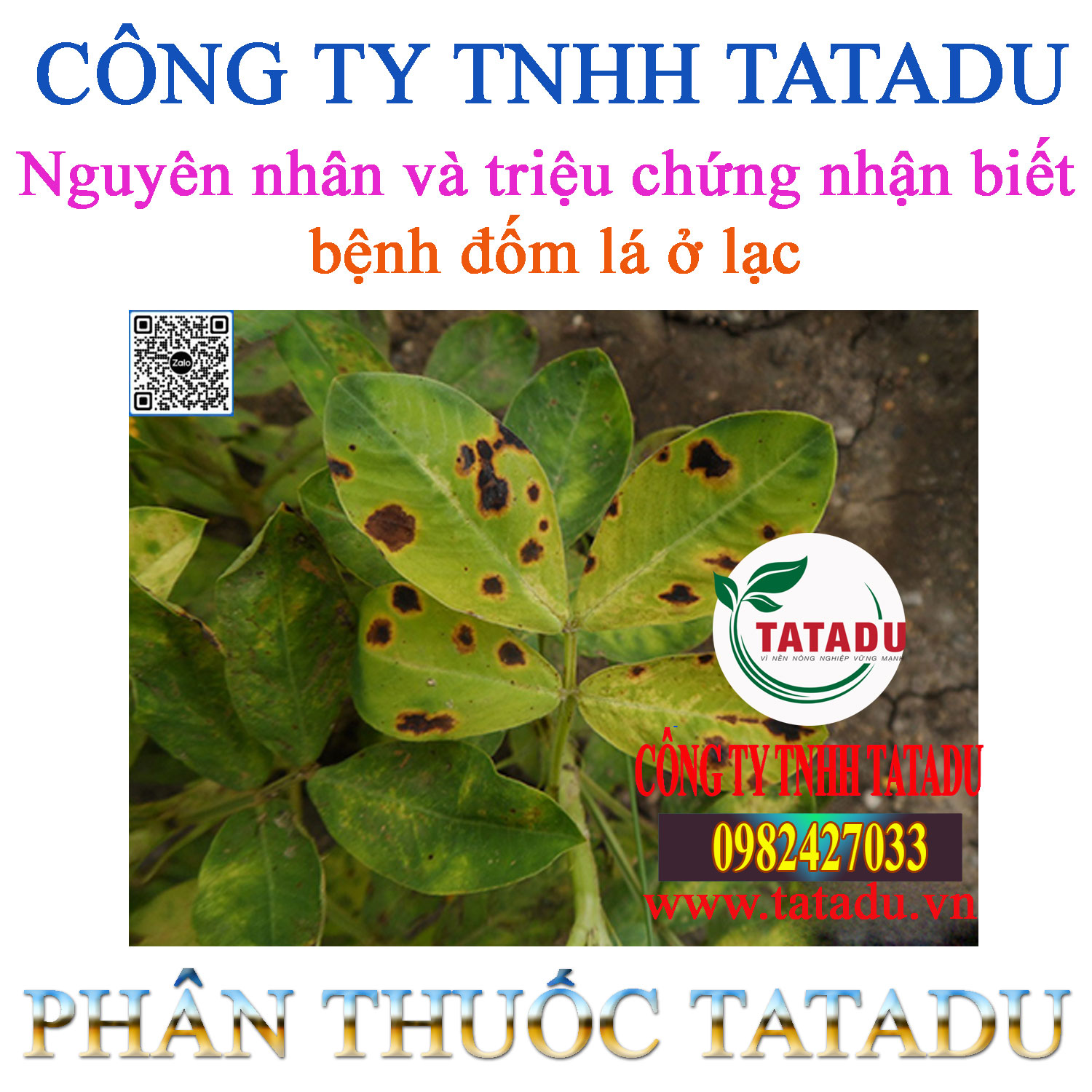 Nguyen nhan va trieu chung nhan biet benh dom la o lac